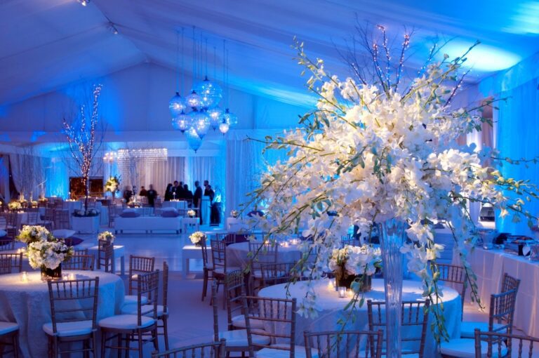 Winter Wonderland party theme